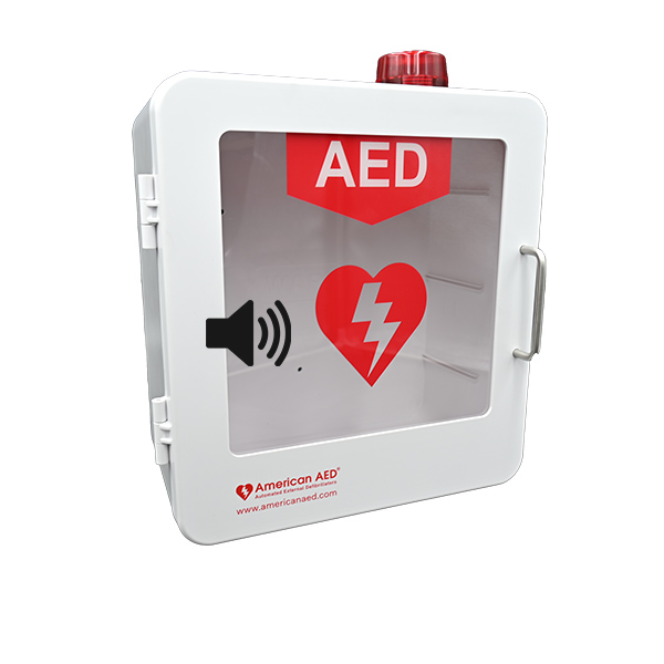 Wall Mounted Aed Cabinet With Alarm | Cabinets Matttroy