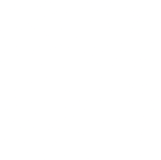 911 icon