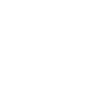 AED icon
